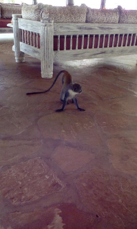 Villa Fortuna Malindi Buitenkant foto